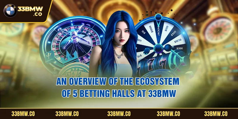 An overview of the ecosystem of 5 betting halls at 33BMW 