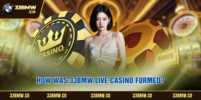 How was 33BMW Live casino formed?