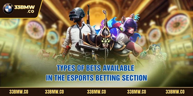Types of bets available in the esports betting section.